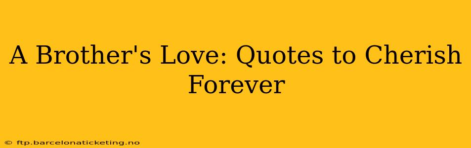 A Brother's Love: Quotes to Cherish Forever