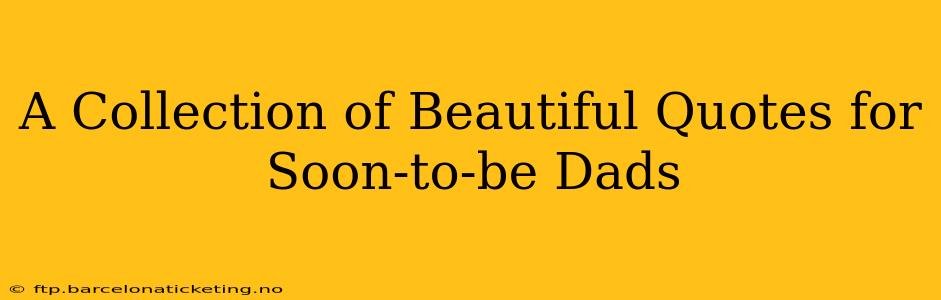 A Collection of Beautiful Quotes for Soon-to-be Dads