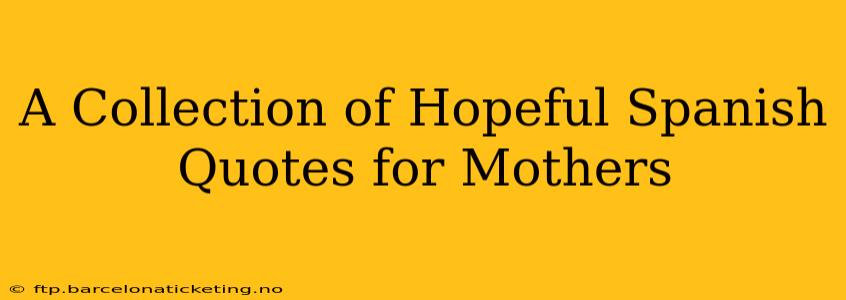 A Collection of Hopeful Spanish Quotes for Mothers