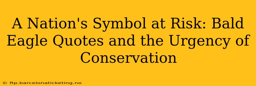 A Nation's Symbol at Risk: Bald Eagle Quotes and the Urgency of Conservation