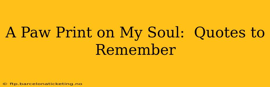 A Paw Print on My Soul:  Quotes to Remember