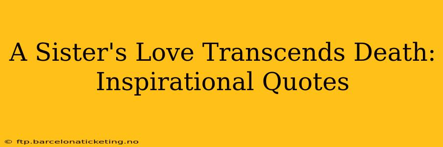 A Sister's Love Transcends Death: Inspirational Quotes
