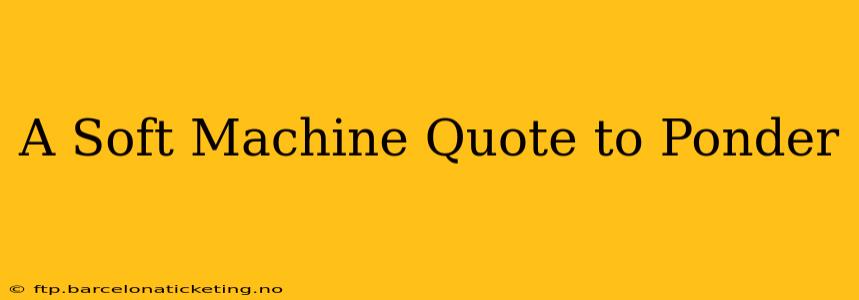 A Soft Machine Quote to Ponder