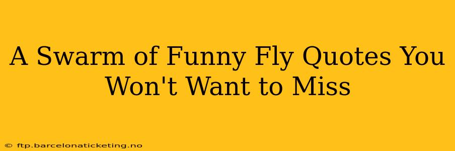 A Swarm of Funny Fly Quotes You Won't Want to Miss