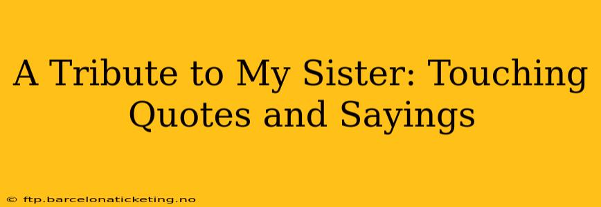 A Tribute to My Sister: Touching Quotes and Sayings