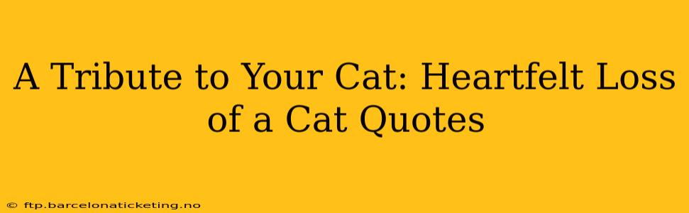 A Tribute to Your Cat: Heartfelt Loss of a Cat Quotes