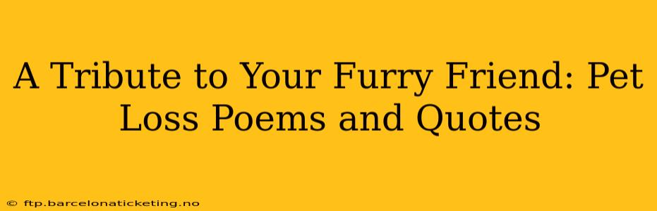 A Tribute to Your Furry Friend: Pet Loss Poems and Quotes