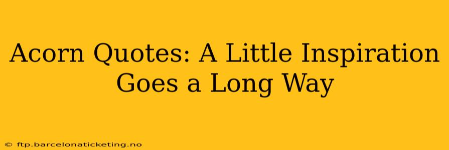 Acorn Quotes: A Little Inspiration Goes a Long Way