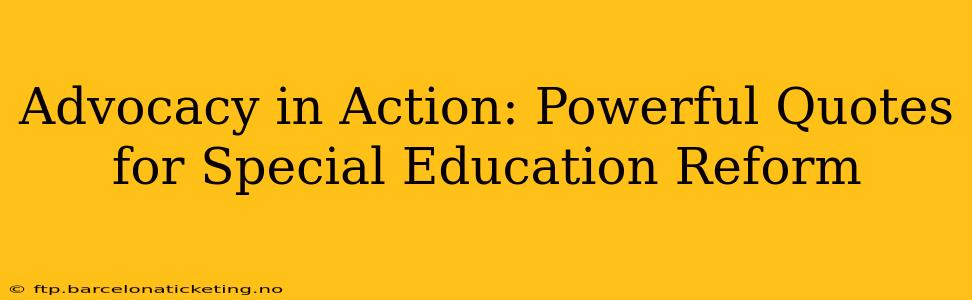 Advocacy in Action: Powerful Quotes for Special Education Reform