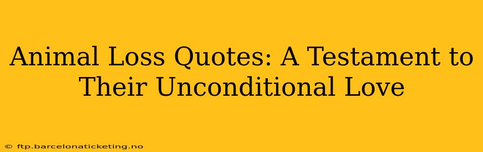 Animal Loss Quotes: A Testament to Their Unconditional Love