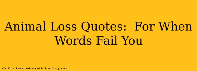 Animal Loss Quotes:  For When Words Fail You