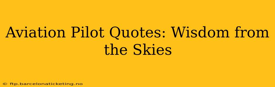 Aviation Pilot Quotes: Wisdom from the Skies