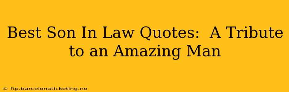 Best Son In Law Quotes:  A Tribute to an Amazing Man