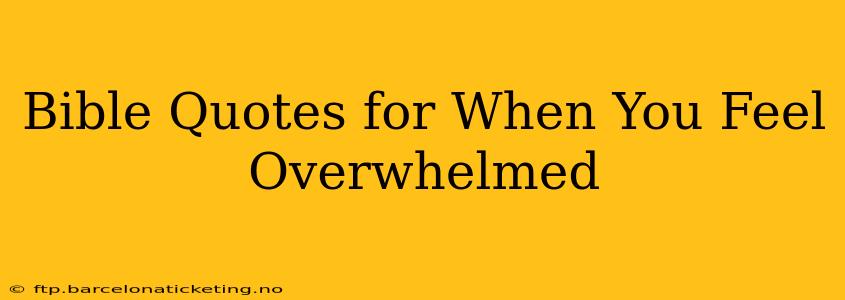 Bible Quotes for When You Feel Overwhelmed