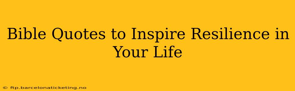 Bible Quotes to Inspire Resilience in Your Life