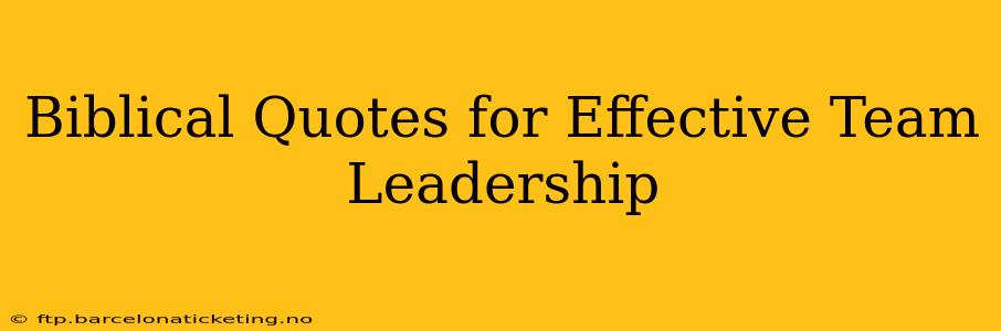 Biblical Quotes for Effective Team Leadership