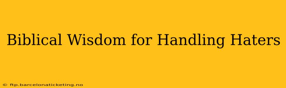 Biblical Wisdom for Handling Haters