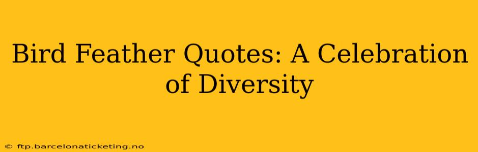 Bird Feather Quotes: A Celebration of Diversity