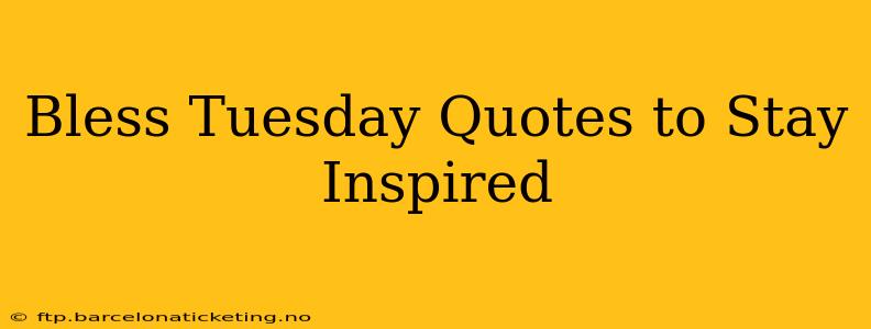 Bless Tuesday Quotes to Stay Inspired