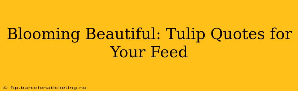 Blooming Beautiful: Tulip Quotes for Your Feed