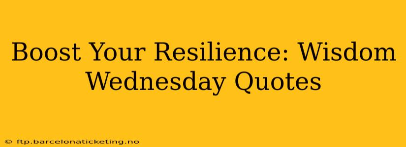 Boost Your Resilience: Wisdom Wednesday Quotes