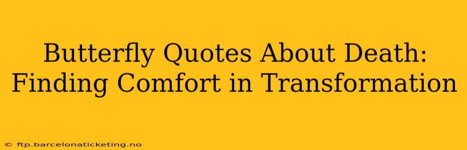 Butterfly Quotes About Death: Finding Comfort in Transformation