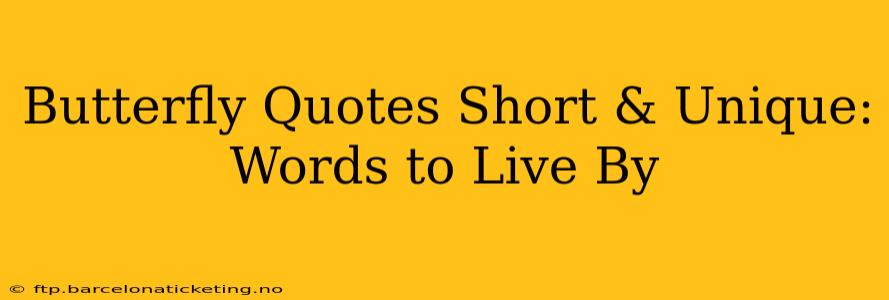 Butterfly Quotes Short & Unique: Words to Live By