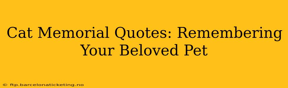 Cat Memorial Quotes: Remembering Your Beloved Pet