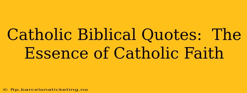 Catholic Biblical Quotes:  The Essence of Catholic Faith