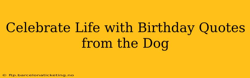Celebrate Life with Birthday Quotes from the Dog