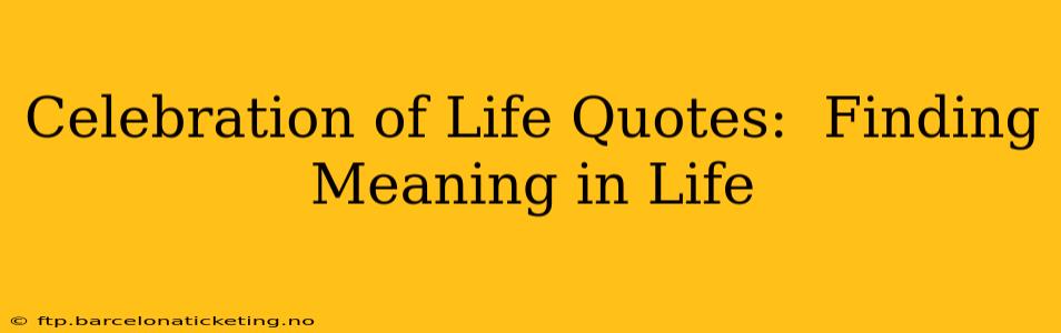 Celebration of Life Quotes:  Finding Meaning in Life