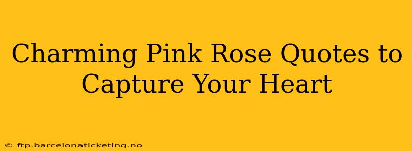 Charming Pink Rose Quotes to Capture Your Heart