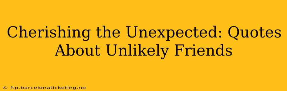 Cherishing the Unexpected: Quotes About Unlikely Friends