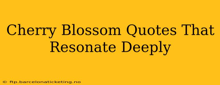 Cherry Blossom Quotes That Resonate Deeply