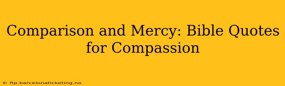 Comparison and Mercy: Bible Quotes for Compassion