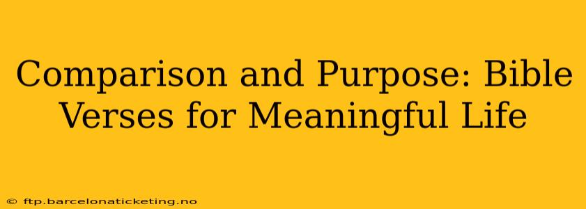 Comparison and Purpose: Bible Verses for Meaningful Life