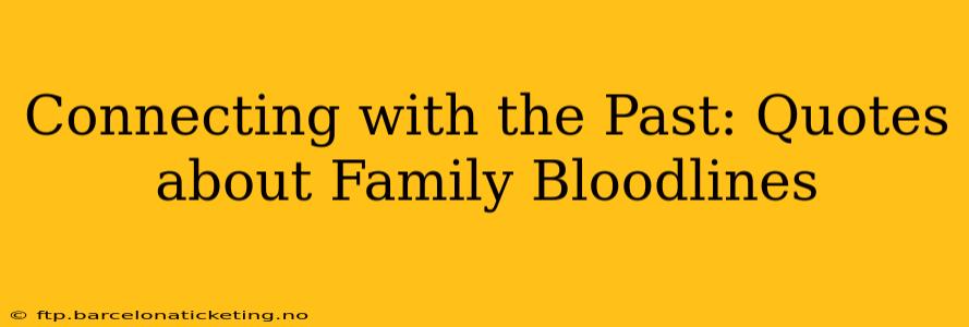 Connecting with the Past: Quotes about Family Bloodlines