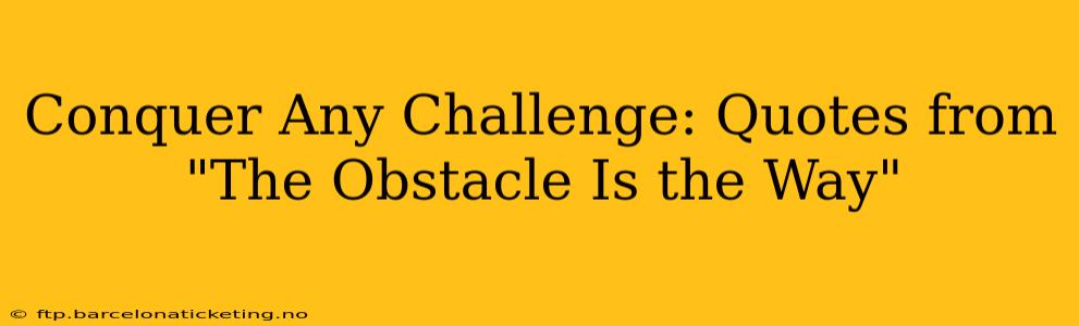 Conquer Any Challenge: Quotes from "The Obstacle Is the Way"