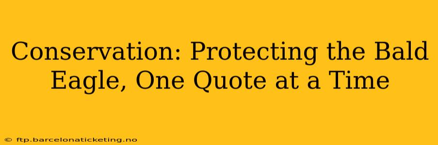 Conservation: Protecting the Bald Eagle, One Quote at a Time