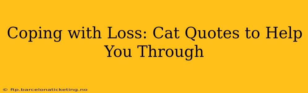 Coping with Loss: Cat Quotes to Help You Through