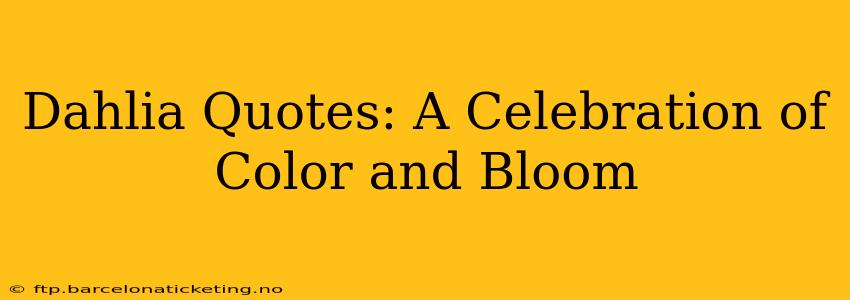 Dahlia Quotes: A Celebration of Color and Bloom