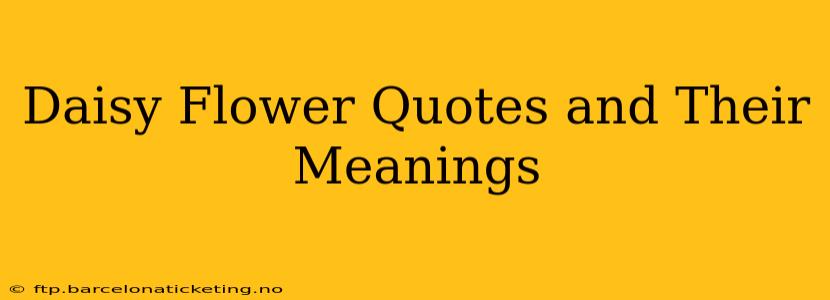 Daisy Flower Quotes and Their Meanings