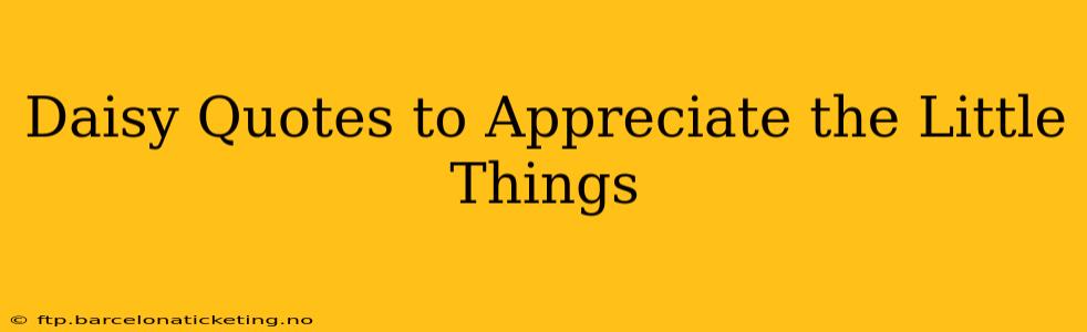 Daisy Quotes to Appreciate the Little Things