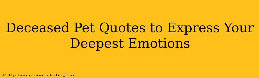 Deceased Pet Quotes to Express Your Deepest Emotions