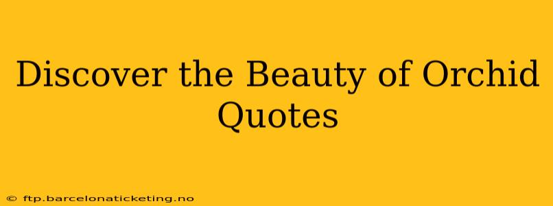 Discover the Beauty of Orchid Quotes