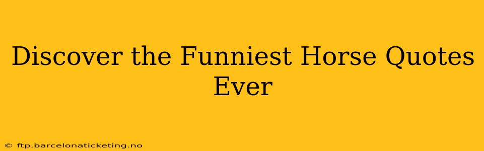Discover the Funniest Horse Quotes Ever