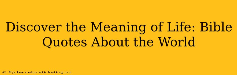 Discover the Meaning of Life: Bible Quotes About the World
