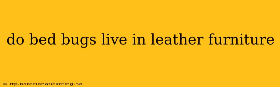 do bed bugs live in leather furniture