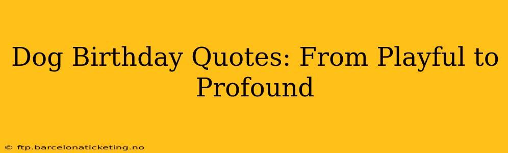 Dog Birthday Quotes: From Playful to Profound