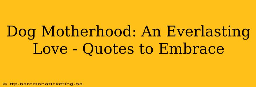 Dog Motherhood: An Everlasting Love - Quotes to Embrace